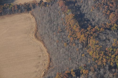 Property photo 5 - PRIME OHIO FARMLAND AUCTION - 100.8 Acres Offered in 3 Tracts