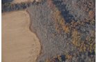Property photo 5 - PRIME OHIO FARMLAND AUCTION - 100.8 Acres Offered in 3 Tracts