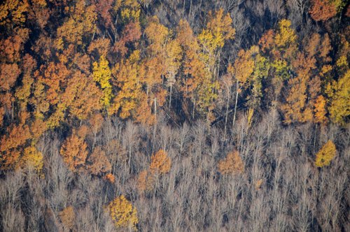 Property photo 44 - PRIME OHIO FARMLAND AUCTION - 100.8 Acres Offered in 3 Tracts