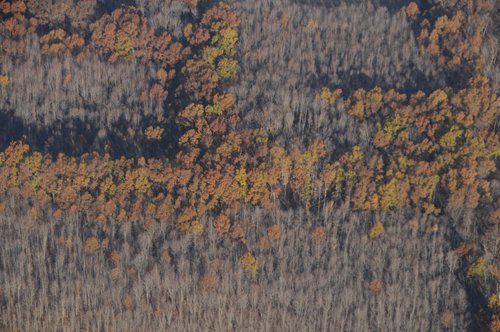 Property photo 36 - PRIME OHIO FARMLAND AUCTION - 100.8 Acres Offered in 3 Tracts