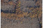 Property photo 36 - PRIME OHIO FARMLAND AUCTION - 100.8 Acres Offered in 3 Tracts
