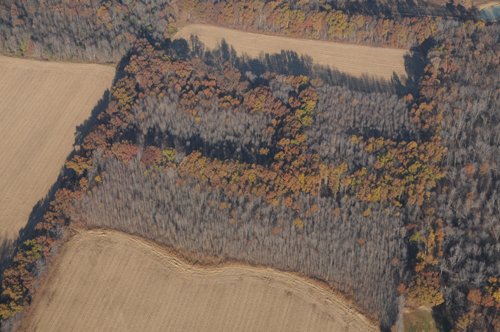 Property photo 12 - PRIME OHIO FARMLAND AUCTION - 100.8 Acres Offered in 3 Tracts