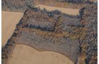 Property photo 12 - PRIME OHIO FARMLAND AUCTION - 100.8 Acres Offered in 3 Tracts