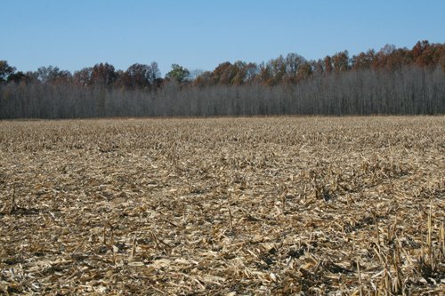 Property photo 21 - PRIME OHIO FARMLAND AUCTION - 100.8 Acres Offered in 3 Tracts