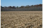 Property photo 21 - PRIME OHIO FARMLAND AUCTION - 100.8 Acres Offered in 3 Tracts