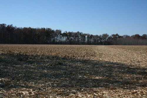 Property photo 24 - PRIME OHIO FARMLAND AUCTION - 100.8 Acres Offered in 3 Tracts