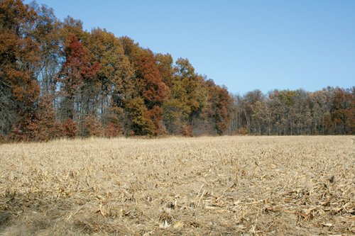 Property photo 39 - PRIME OHIO FARMLAND AUCTION - 100.8 Acres Offered in 3 Tracts
