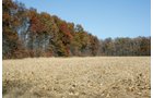 Property photo 39 - PRIME OHIO FARMLAND AUCTION - 100.8 Acres Offered in 3 Tracts