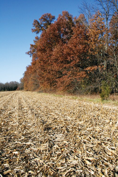 Property photo 43 - PRIME OHIO FARMLAND AUCTION - 100.8 Acres Offered in 3 Tracts