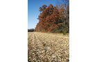 Property photo 43 - PRIME OHIO FARMLAND AUCTION - 100.8 Acres Offered in 3 Tracts
