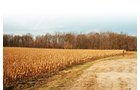 Property photo 15 - 235 Acres Offered in 7 Tracts