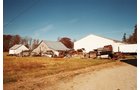 Property photo 22 - 235 Acres Offered in 7 Tracts