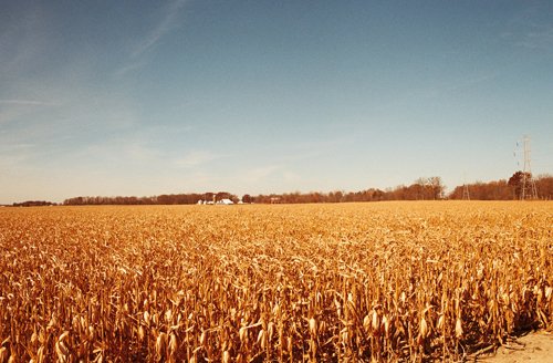 Property photo 18 - 235 Acres Offered in 7 Tracts