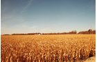 Property photo 18 - 235 Acres Offered in 7 Tracts