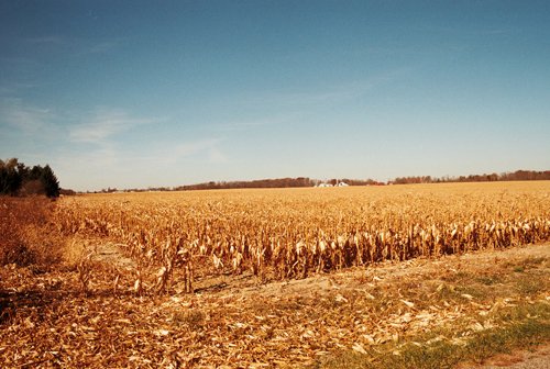 Property photo 21 - 235 Acres Offered in 7 Tracts