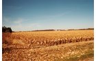 Property photo 21 - 235 Acres Offered in 7 Tracts