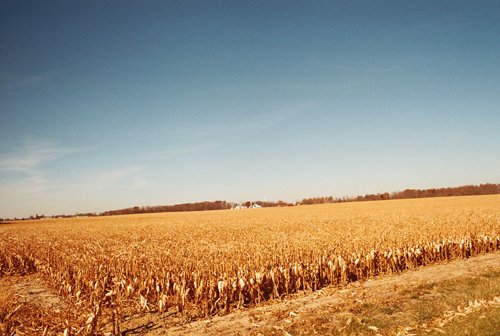 Property photo 4 - 235 Acres Offered in 7 Tracts