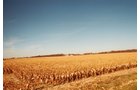 Property photo 4 - 235 Acres Offered in 7 Tracts