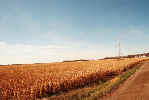 Property photo 17 - 235 Acres Offered in 7 Tracts
