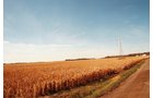 Property photo 17 - 235 Acres Offered in 7 Tracts