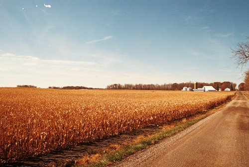 Property photo 6 - 235 Acres Offered in 7 Tracts