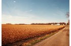 Property photo 6 - 235 Acres Offered in 7 Tracts