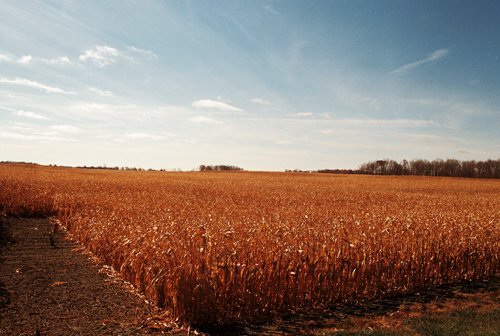 Property photo 8 - 235 Acres Offered in 7 Tracts