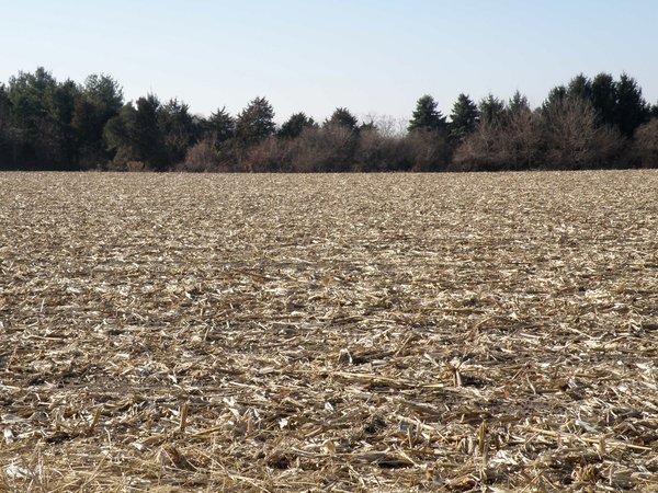 64.4 Acres in 3 Tracts