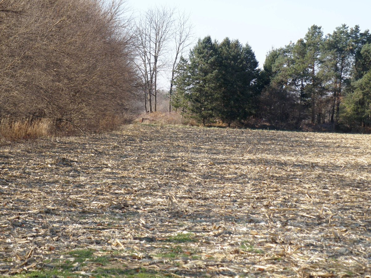 Property photo 1 - 64.4 Acres in 3 Tracts