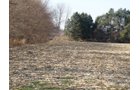 Property photo 1 - 64.4 Acres in 3 Tracts