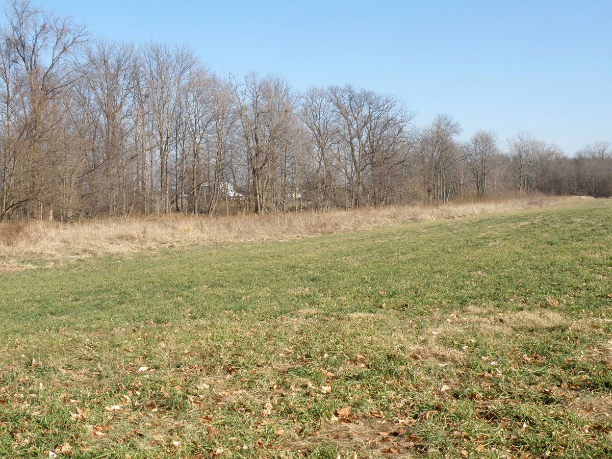 Property photo 11 - 64.4 Acres in 3 Tracts