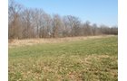 Property photo 11 - 64.4 Acres in 3 Tracts