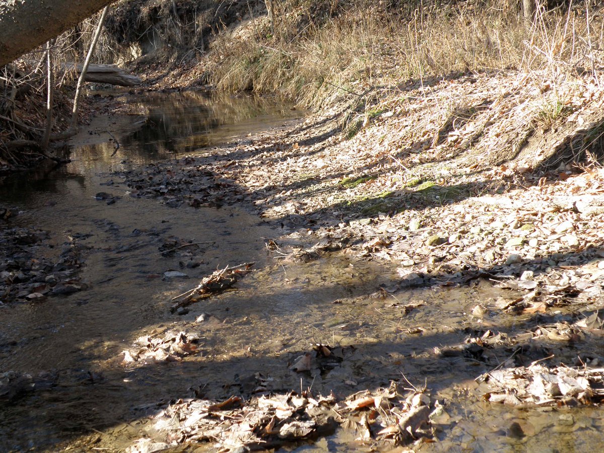 Property photo 3 - 64.4 Acres in 3 Tracts