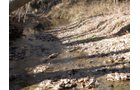 Property photo 3 - 64.4 Acres in 3 Tracts