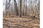 Property photo 8 - 64.4 Acres in 3 Tracts