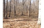 Property photo 17 - 64.4 Acres in 3 Tracts