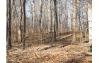 Property photo 15 - 64.4 Acres in 3 Tracts