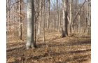 Property photo 6 - 64.4 Acres in 3 Tracts