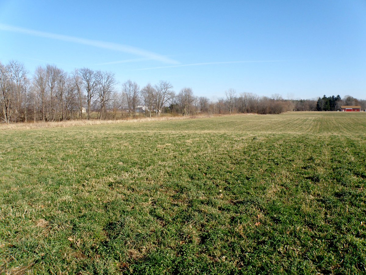 Property photo 16 - 64.4 Acres in 3 Tracts