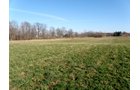 Property photo 16 - 64.4 Acres in 3 Tracts