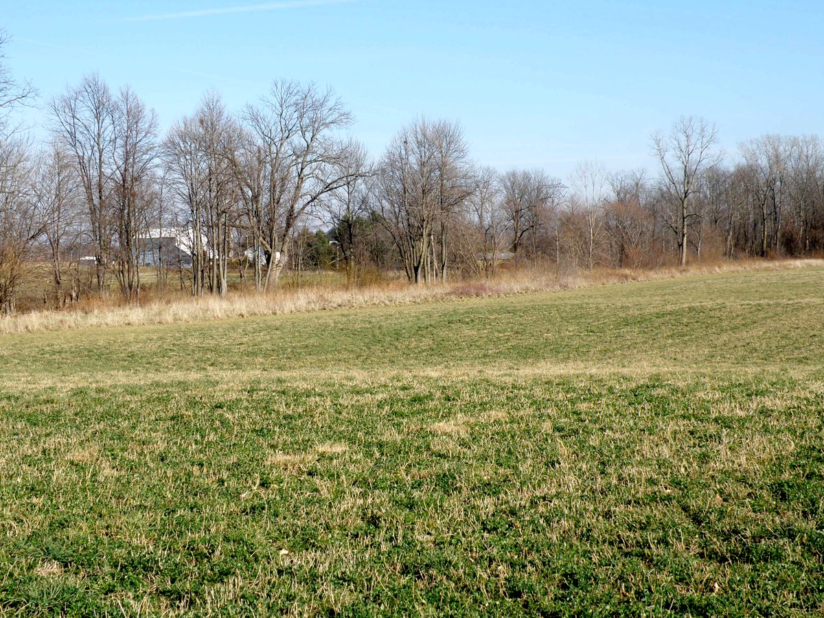 Property photo 10 - 64.4 Acres in 3 Tracts