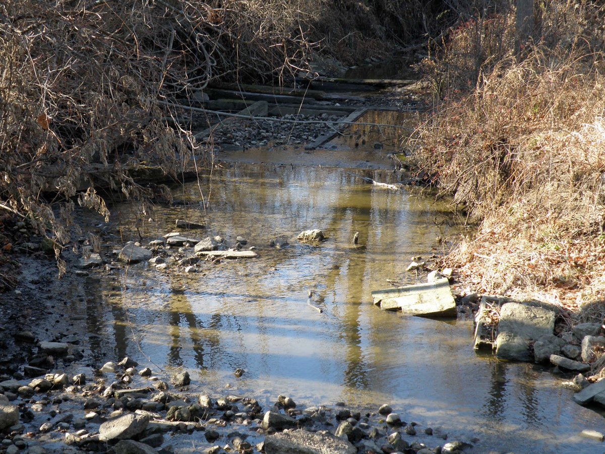 Property photo 12 - 64.4 Acres in 3 Tracts