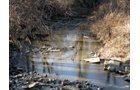 Property photo 12 - 64.4 Acres in 3 Tracts