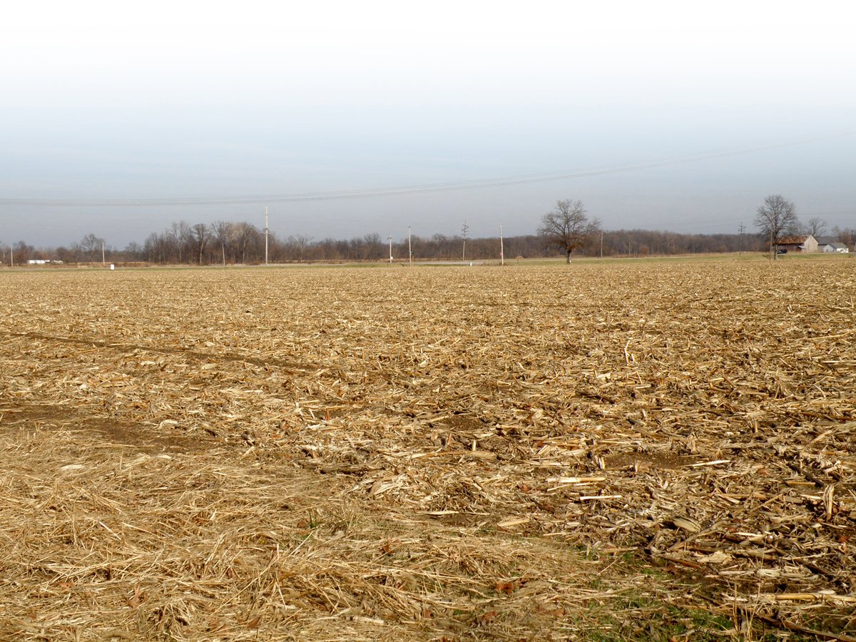Property photo 13 - 64.4 Acres in 3 Tracts