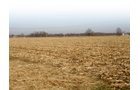Property photo 13 - 64.4 Acres in 3 Tracts