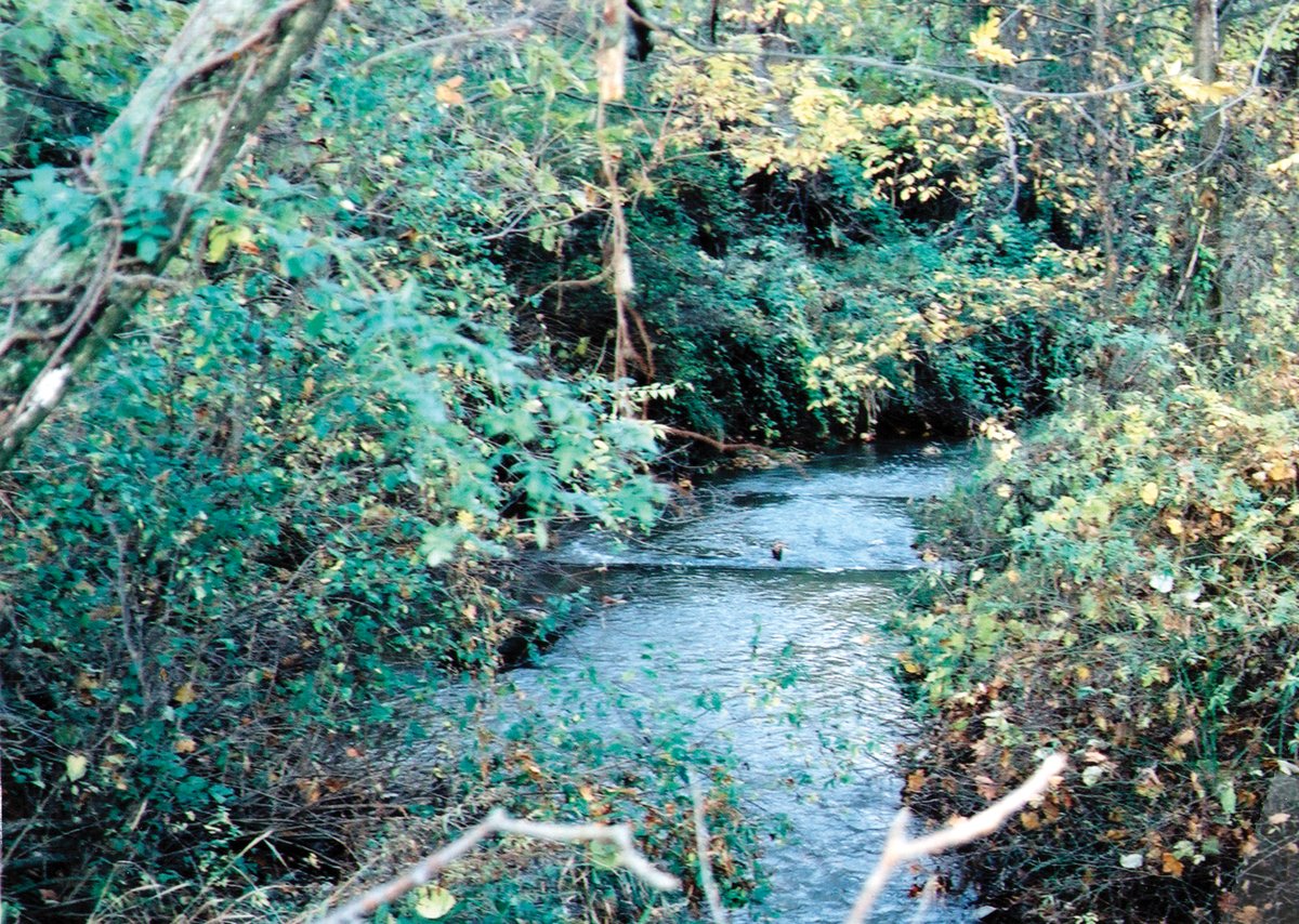 Property photo 14 - 64.4 Acres in 3 Tracts