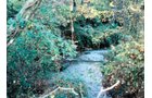 Property photo 14 - 64.4 Acres in 3 Tracts