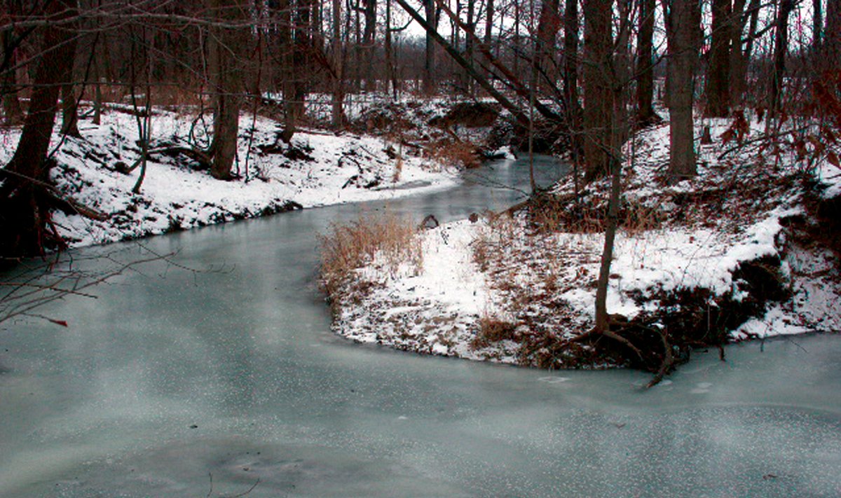 Property photo 5 - 64.4 Acres in 3 Tracts