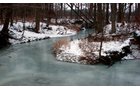 Property photo 5 - 64.4 Acres in 3 Tracts