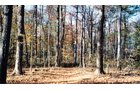 Property photo 2 - 64.4 Acres in 3 Tracts